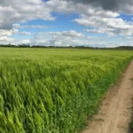 Kürten Erddeponie statt idyllische Landschaft
