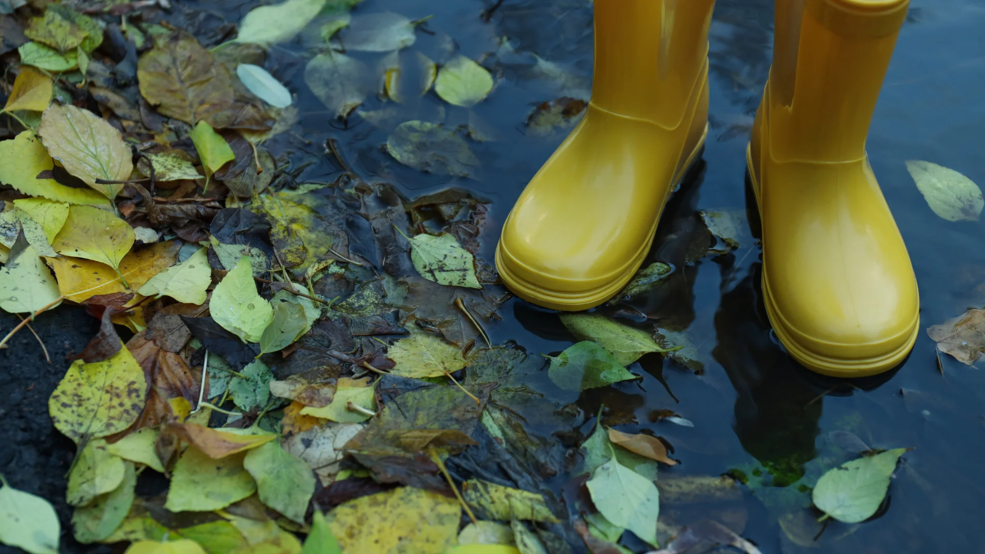 Regenwassermanagement für Grüne Branche